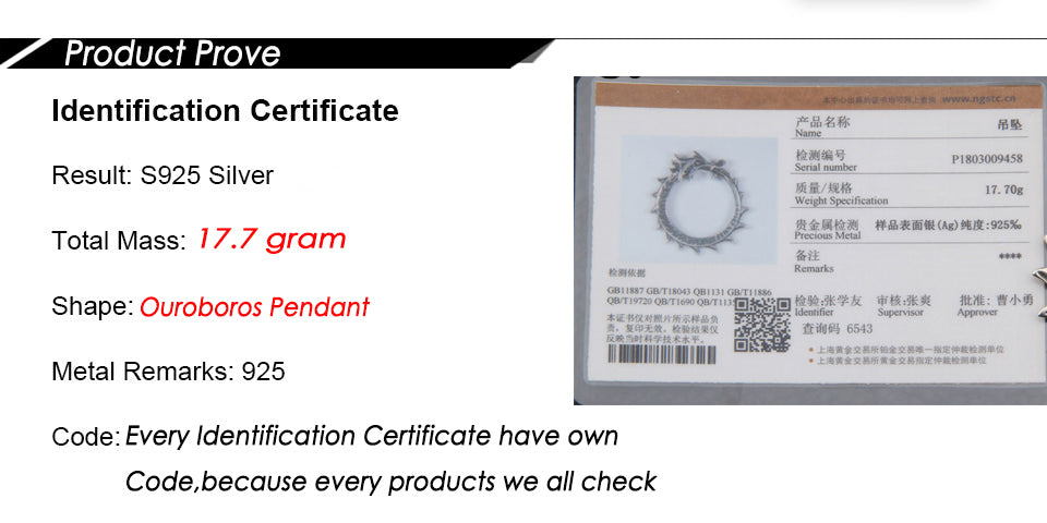 OUROBOROS RUNIC NECKLACE - STERLING SILVER