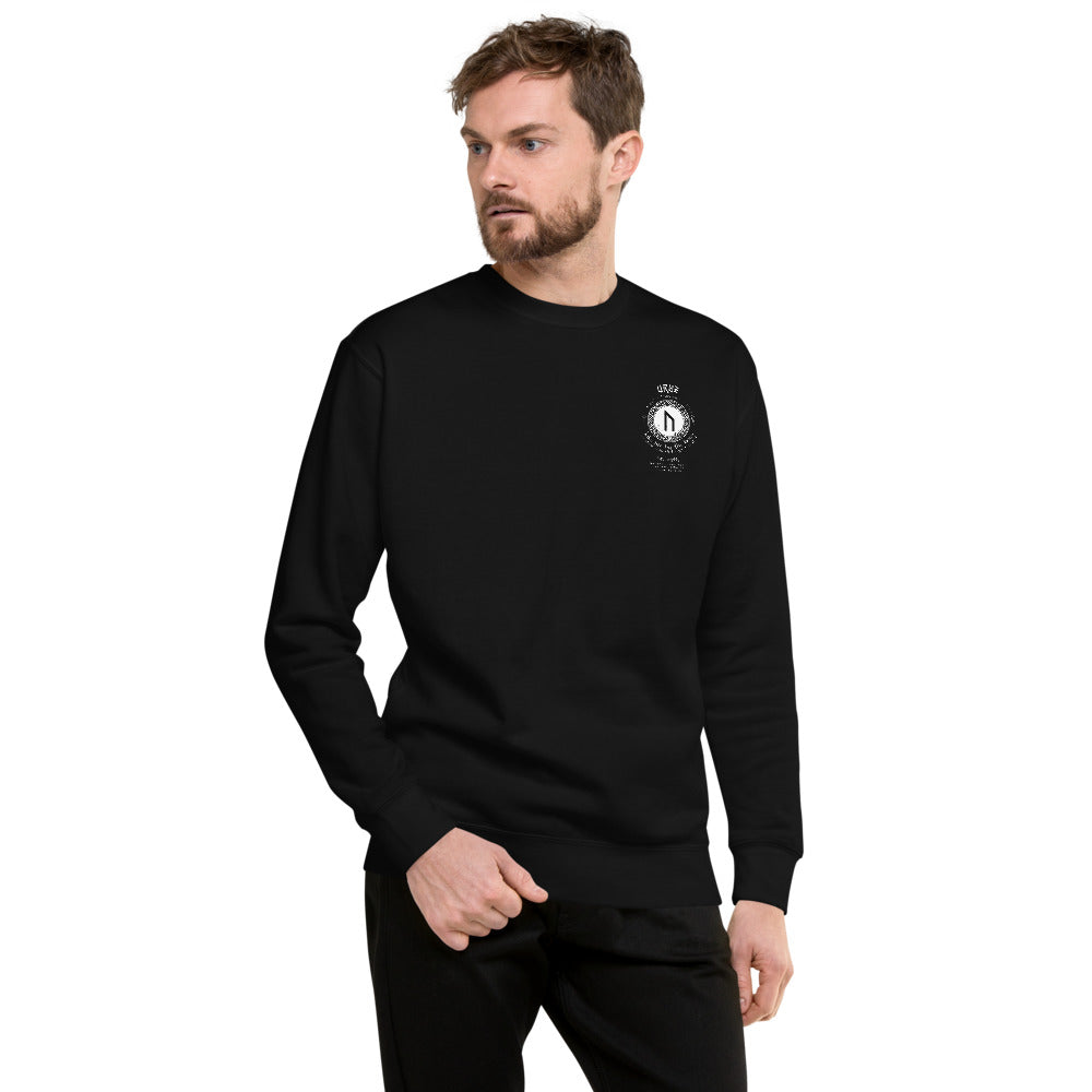 LONG SLEEVE PULL OVER VIKING STRENGTH RUNE- GRAB LIFE BY THE HORNS