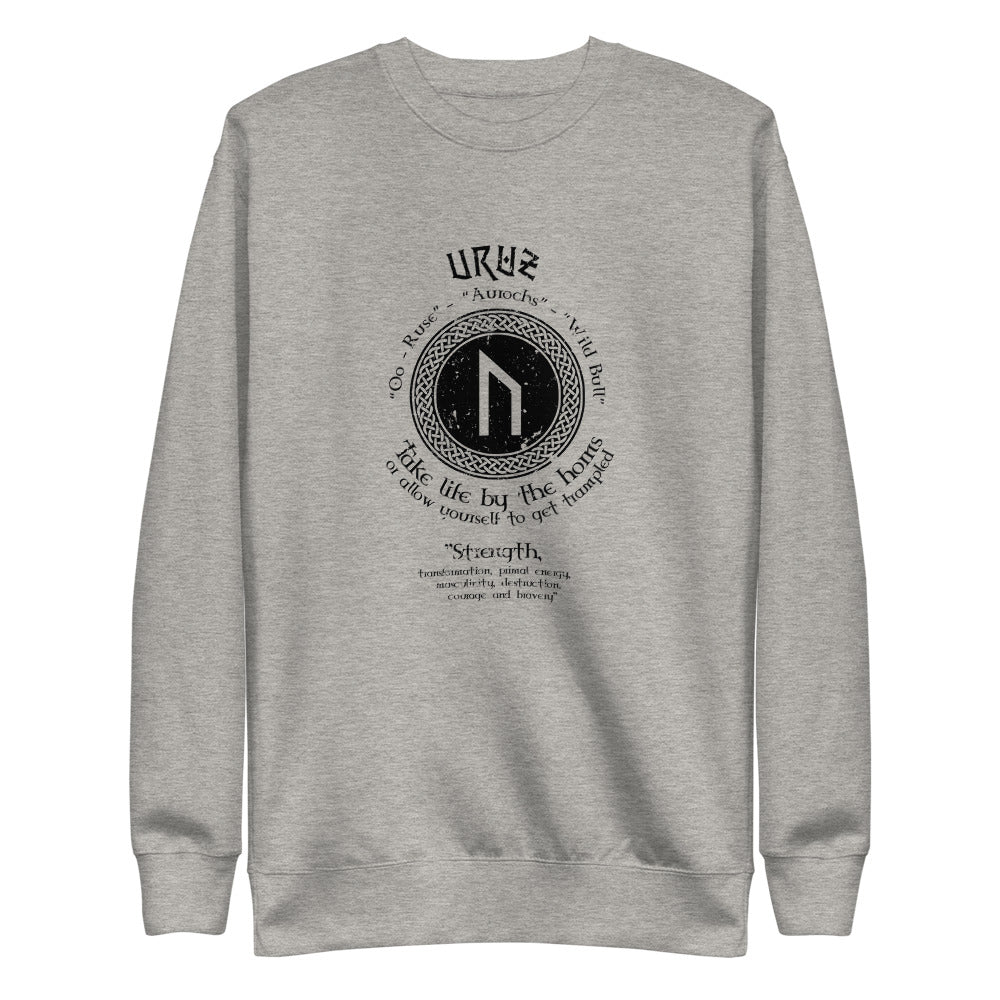 FLEECE PULLOVER VIKING STRENGTH RUNE- GRAB LIFE BY THE HORNS