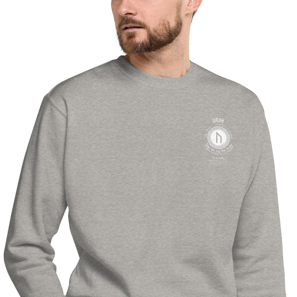 LONG SLEEVE PULL OVER VIKING STRENGTH RUNE- GRAB LIFE BY THE HORNS